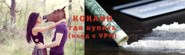 амф Сосновый Бор