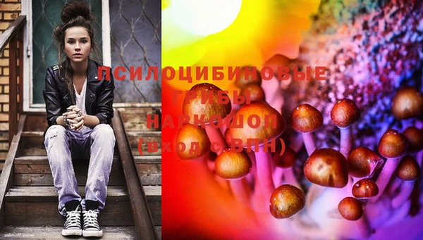амф Сосновый Бор