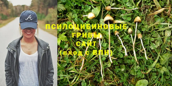 таблы Сосновоборск