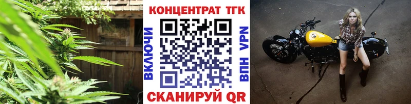 Купить закладки  Короча  ТГК концентрат 
