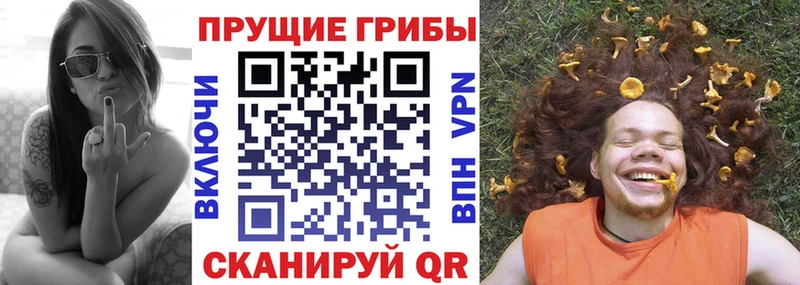 Псилоцибиновые грибы ЛСД  Купить где  Короча 
